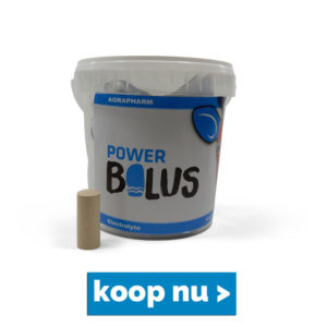 electrolyte-bolus-300x300.jpg