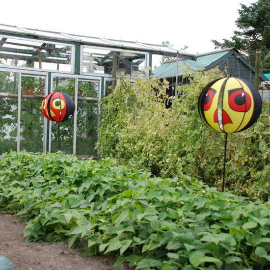 Hawk Eye Vogelverschrikker Hawk Eye Vogelverschrikker