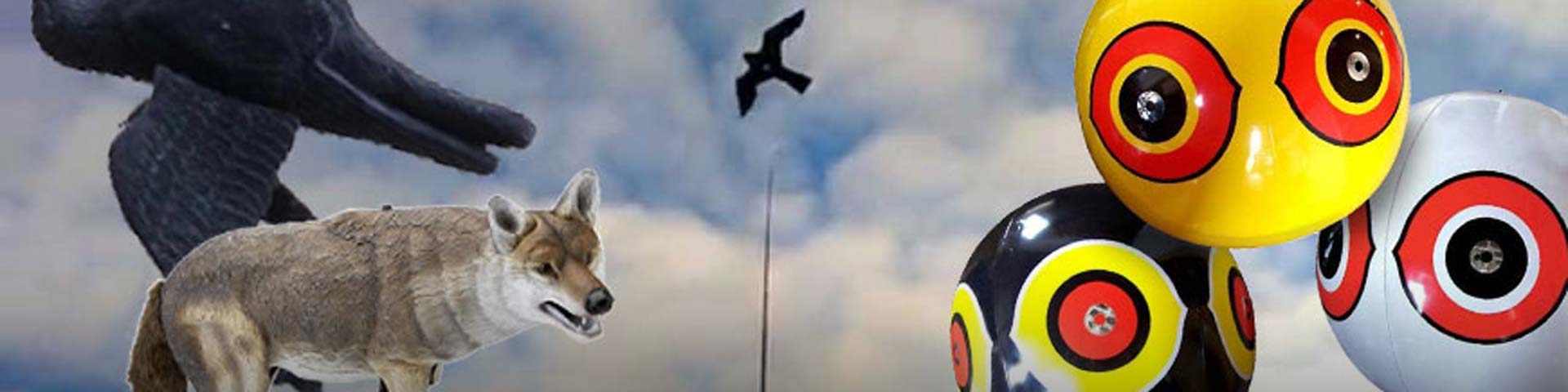 vogelverjagers-1920x480 vogelverjagers-1920x480