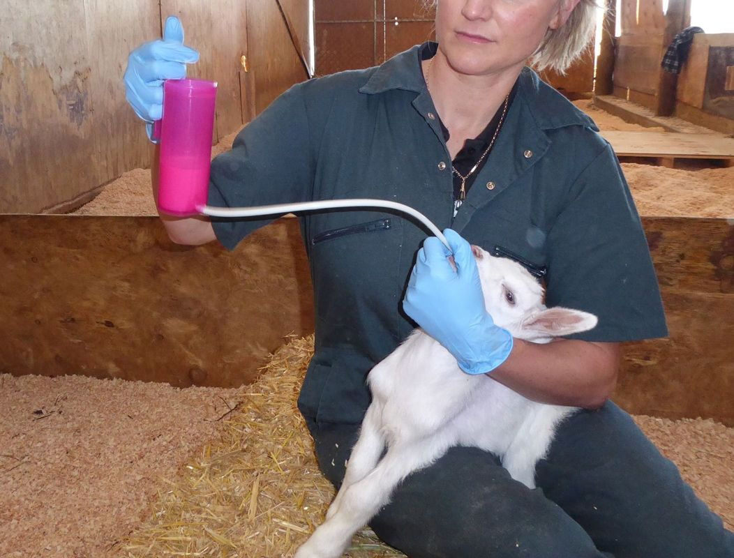 Roslam met beker 240ml Roslam met beker 240ml