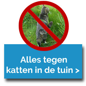 katten.jpg