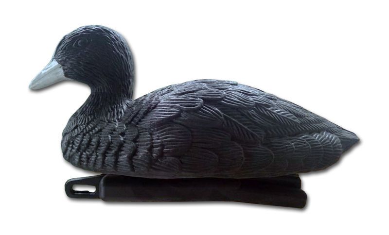 Meerkoet Kunststof | Vogelverjager Meerkoet Kunststof | Vogelverjager