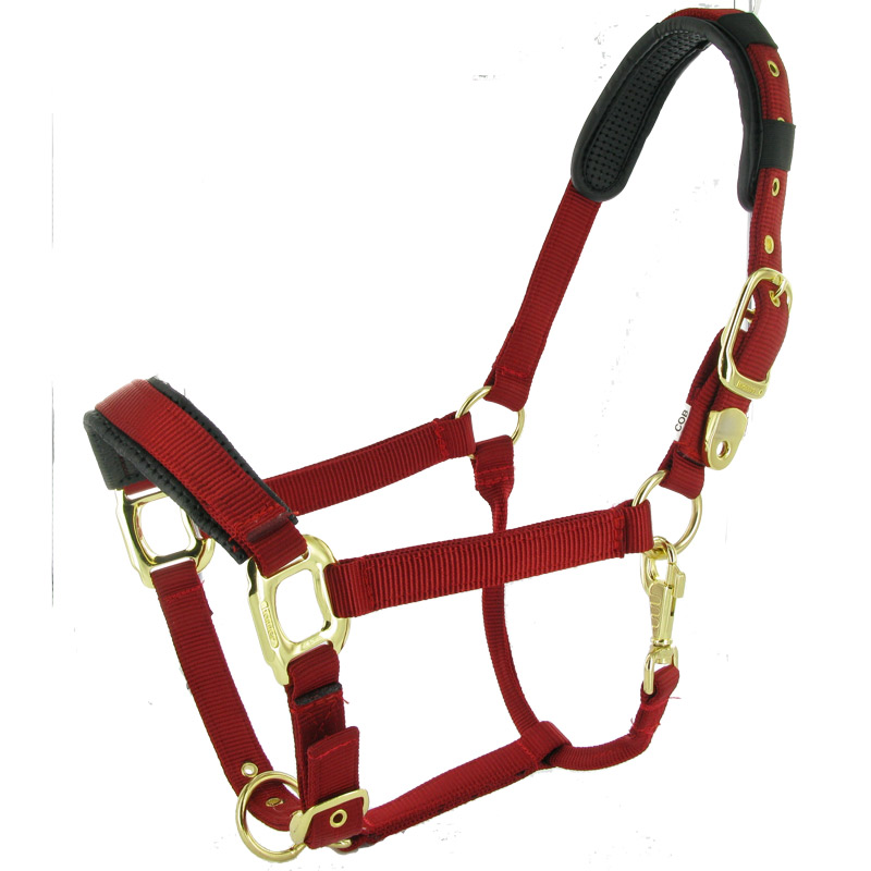Ponyhalster luxe uitvoering (maat 1) rood