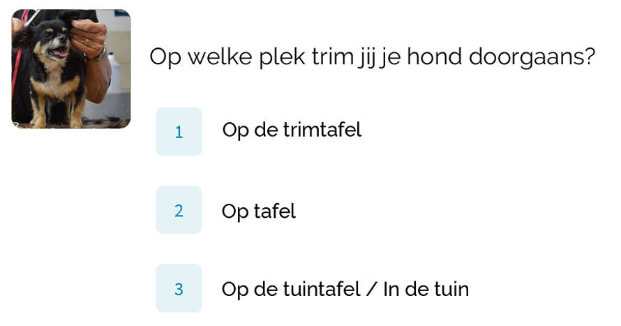 Waar trim jij je hond
