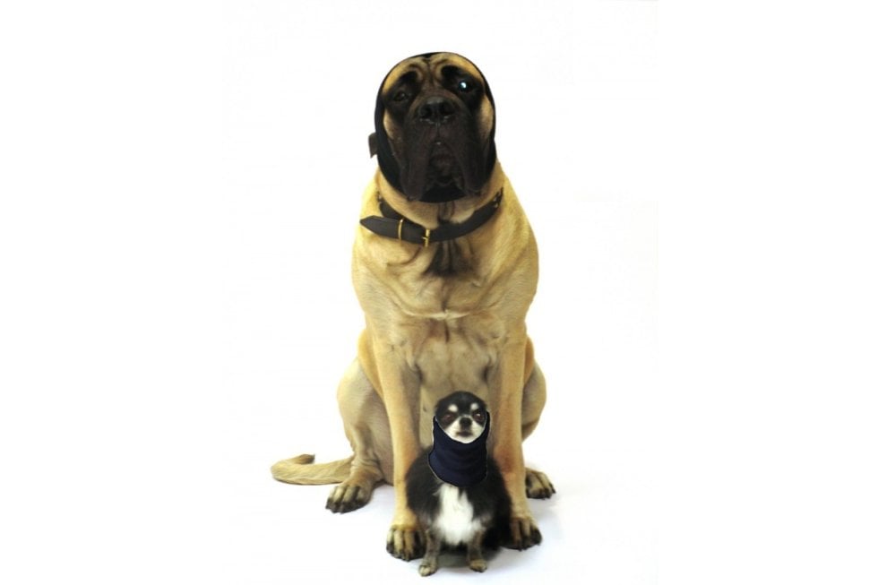 Oorbeschermer hond Set 2 st S & L | Honden oorbescherming