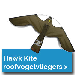 alle hawk Kite vliegers