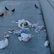 vogeloverlast-op-de-straat.jpg