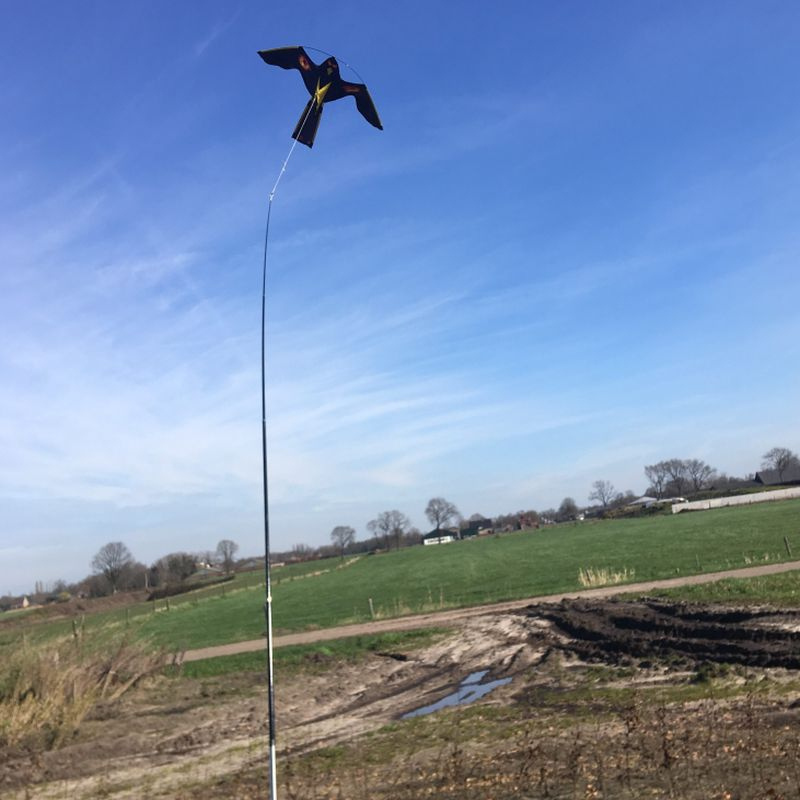 Bird Scaring Kite 4 meter | Vogelverjagende vlieger