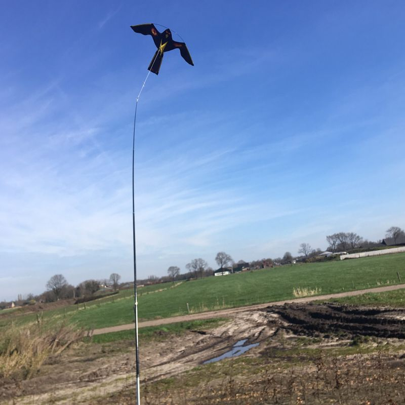 Bird Scaring Kite 4 meter | Vogelverjagende vlieger Bird Scaring Kite 4 meter | Vogelverjagende vlieger