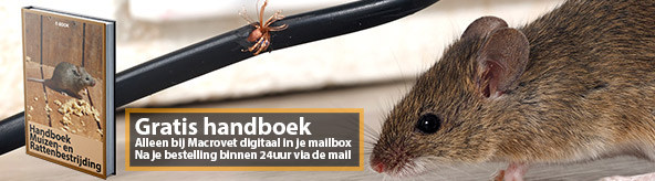 Gratis handboek vol met tips voor Ratten- en muizenbestrijding