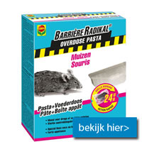 Compo Barrière Radikal Pasta