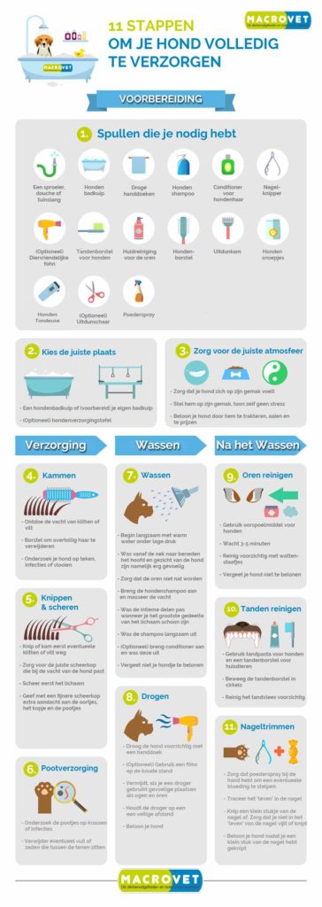 11-stappen-voor-een-uitstekende-hondenverzorging-364-1024px.jpg