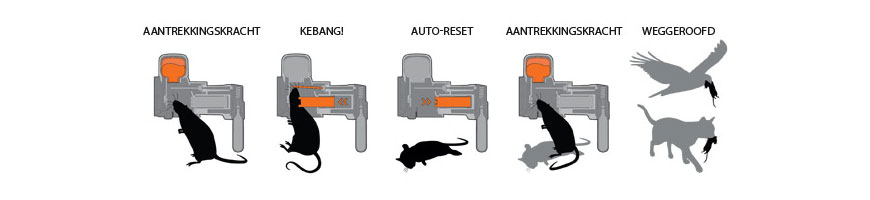 aantrekken van ratten en muizen