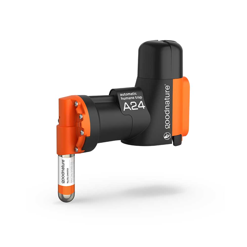 Goodnature A24 Automatische rattenval - muizenval Starter kit Goodnature A24 Automatische rattenval - muizenval Starter kit