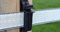 Paardenweide Category Paardenweide