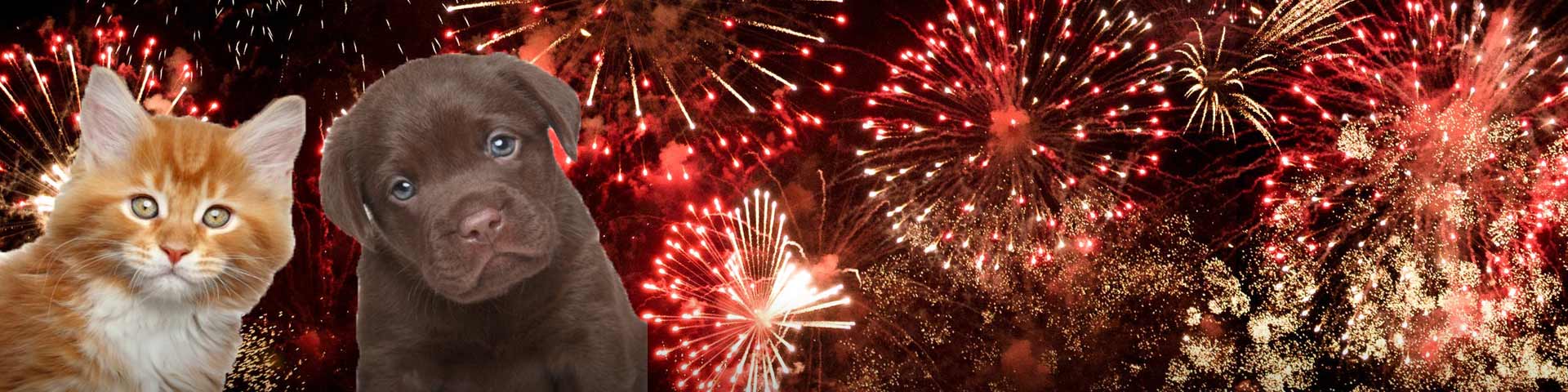 vuurwerk-met-huisdieren-1920x480 vuurwerk-met-huisdieren-1920x480