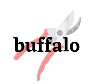 Buffalo