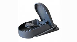 Rattenval Category Rattenval