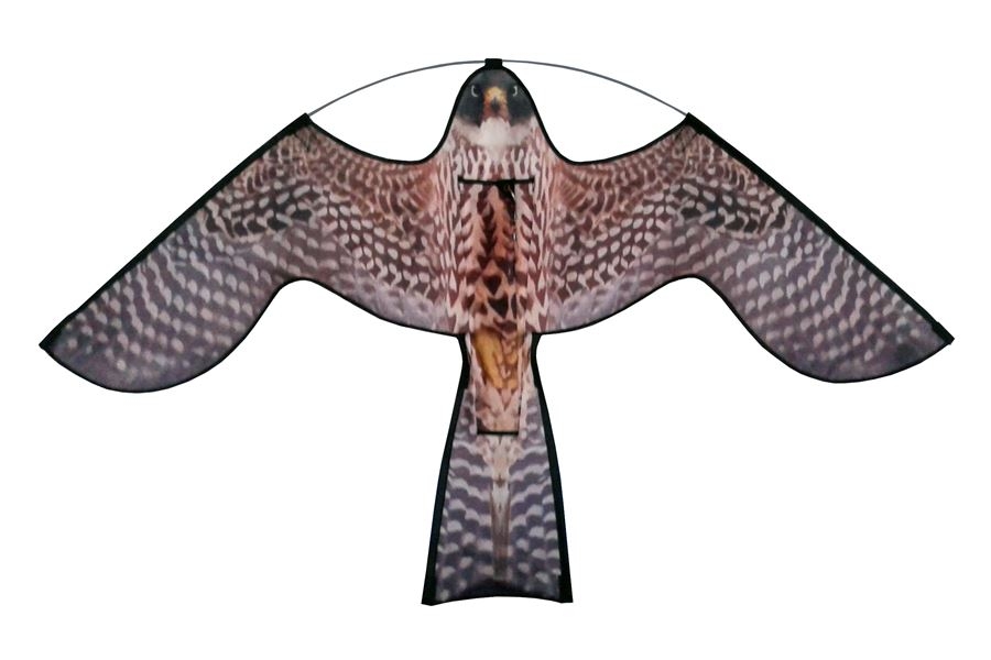 adopteren Tijd Karakteriseren Reserve vlieger Hawk Kite met roofvogelprint | Vogelverjagende vliegers |  Macrovet.nl