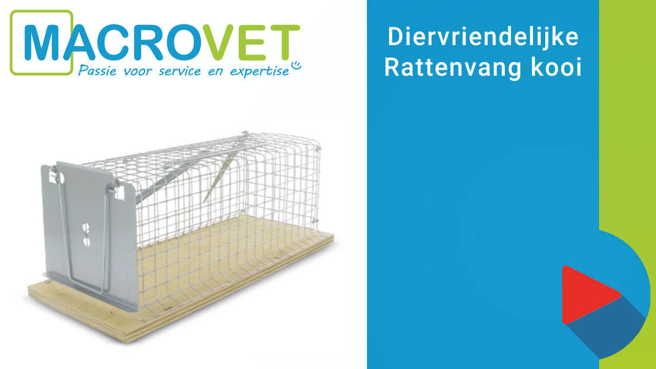 Diervriendelijke Ratten vangkooi 27x9.5x9.5 cm