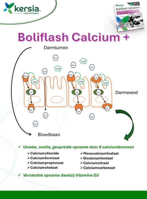 Boliflash Calcium+ 12-st Boliflash Calcium+ 12-st