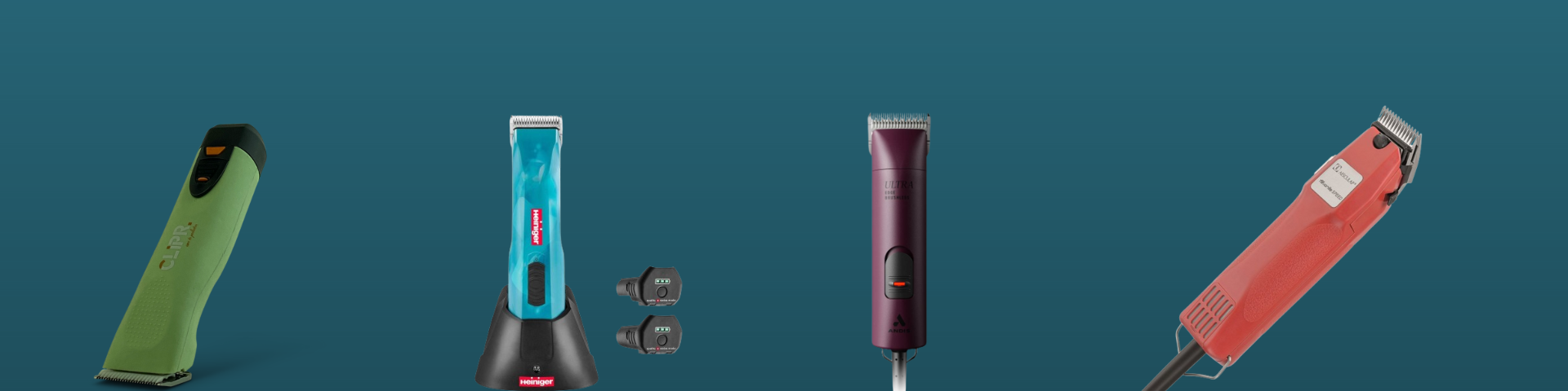 top-4-hondentondeuses-2024-1920x480px top-4-hondentondeuses-2024-1920x480px