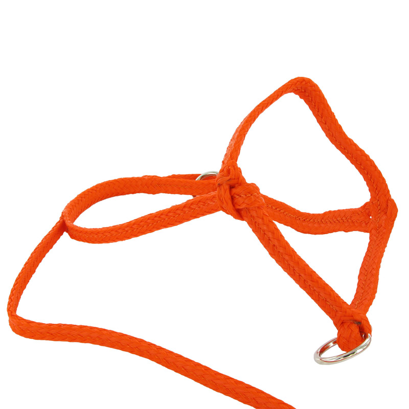 Schuifhalster met neusring oranje koe