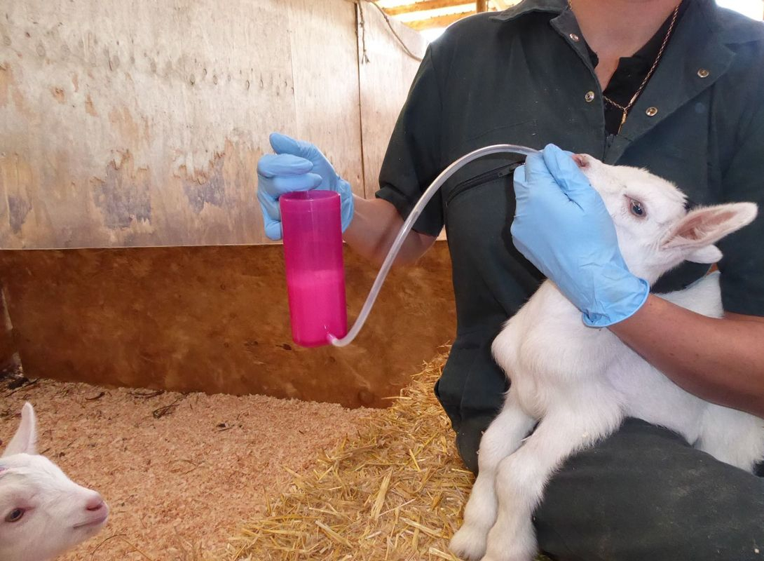 Roslam met beker 240ml Roslam met beker 240ml