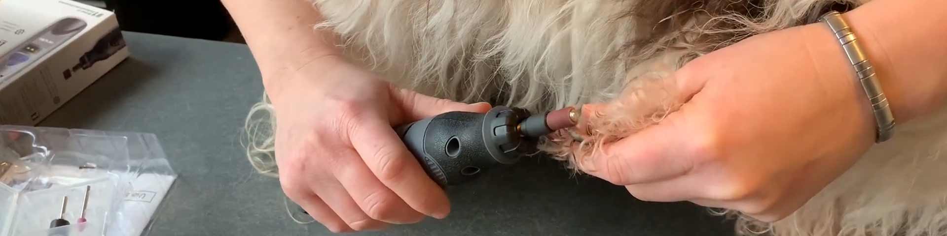 hondennagels-vijlen-1920x480 hondennagels-vijlen-1920x480