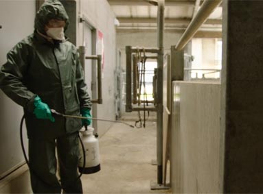 Voorkom vliegenoverlast op melkveebedrijven met K-Othrine