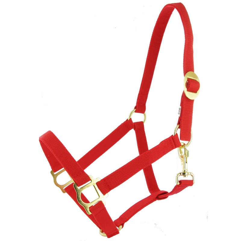 Paardenhalster COB (maat 2) Rood