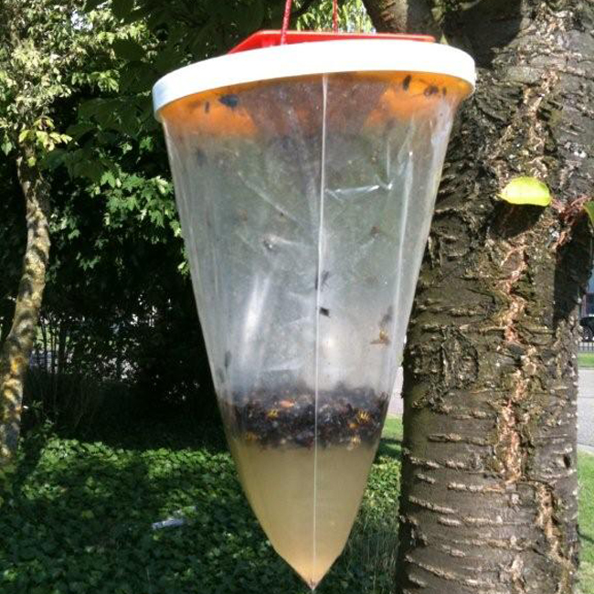 Redtop wespenval Redtop wespenval