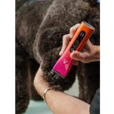 haire grooming, dog fur, dog haircut, trimmer, electric clipper